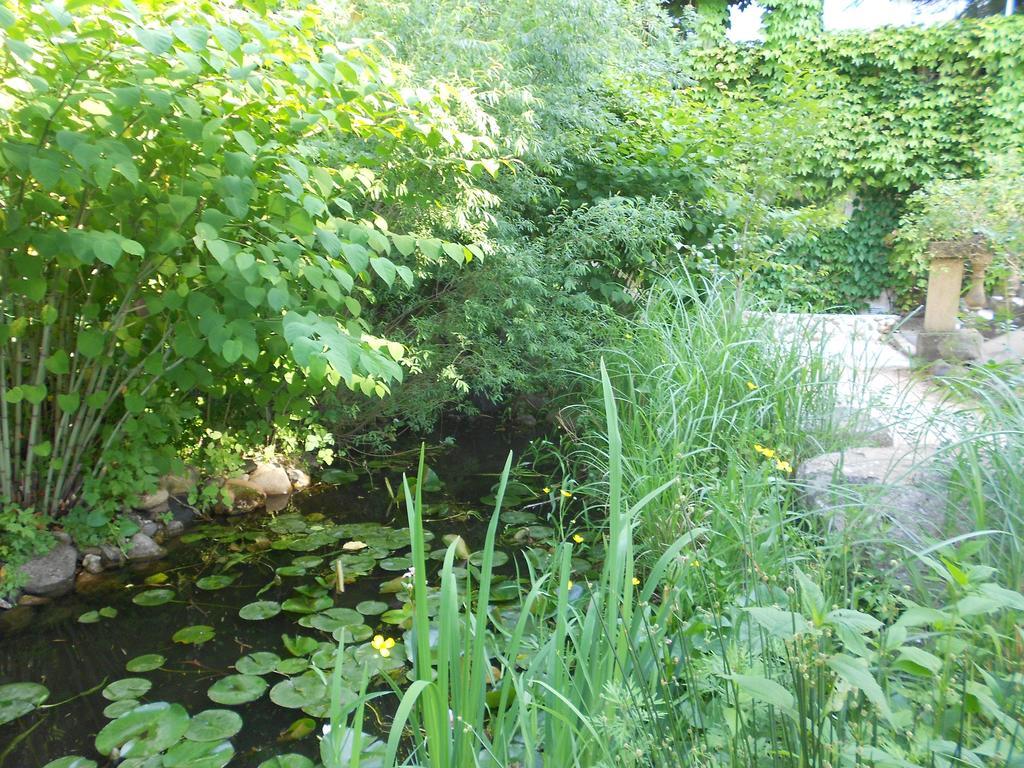 Apart'Hotel Les 4 Sources Corbés Esterno foto